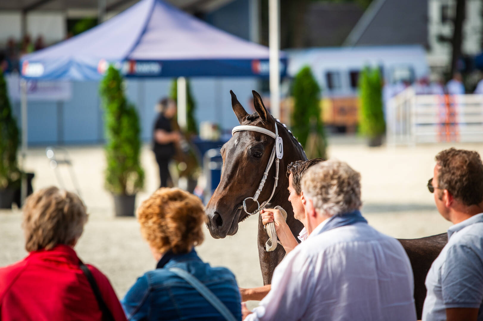Oprichters Show 40e editie Nationale Tuigpaardendag