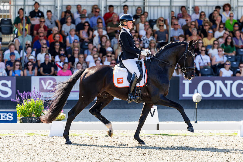 Winst voor Obsession Taonga tijdens selectiewedstrijd Subli Competitie Varsseveld