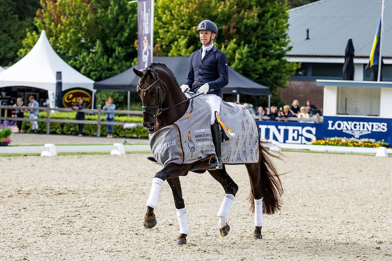 New generation of KWPN dressage stallions showcased to the public