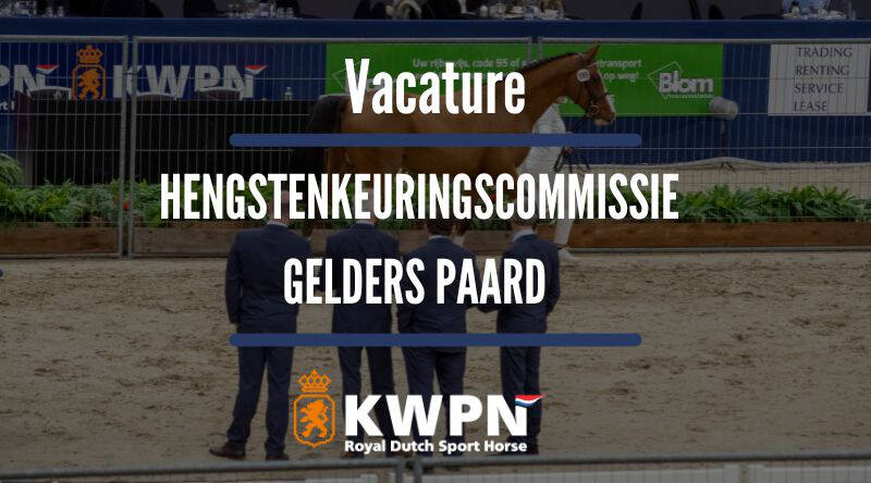 Vacature Hengstenkeuringscommissie Gelders paard