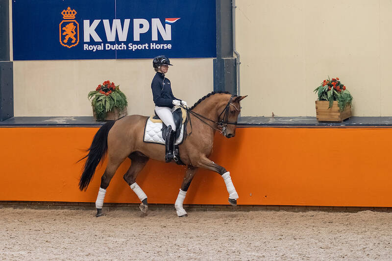 United-zoon Fyeo wint Grand Prix op CDI3* Deauville