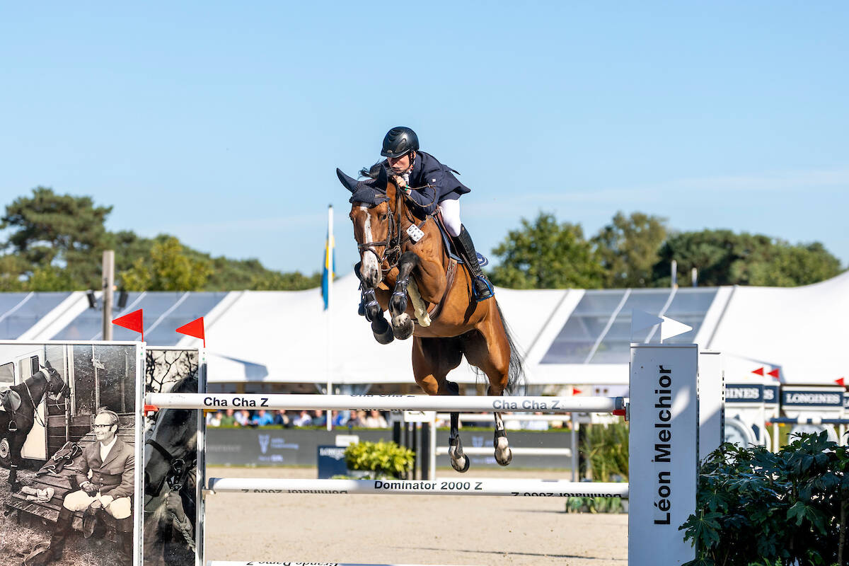 Ortane secures second gold medal for KWPN