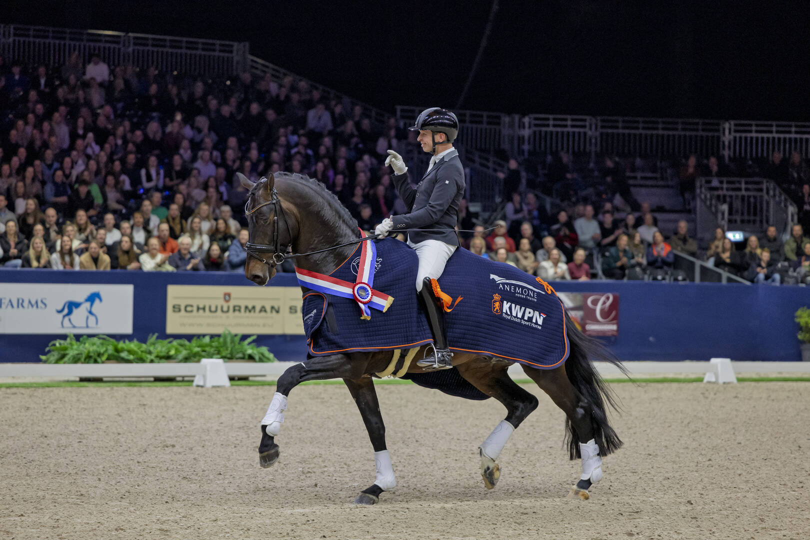 Bestel vandaag je Early Bird-tickets en win een KWPN-showdeken