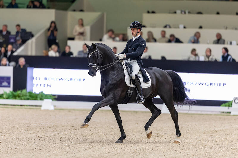 KWPN erkent Grand Prix-hengst Zonik Plus
