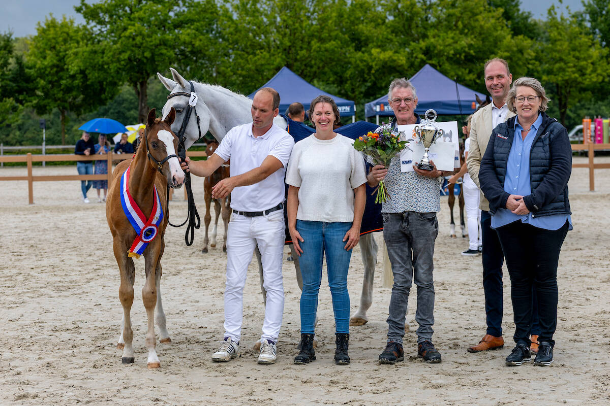 Vinco-H (v.Cero Blue TN) met topgalop naar NVK-titel