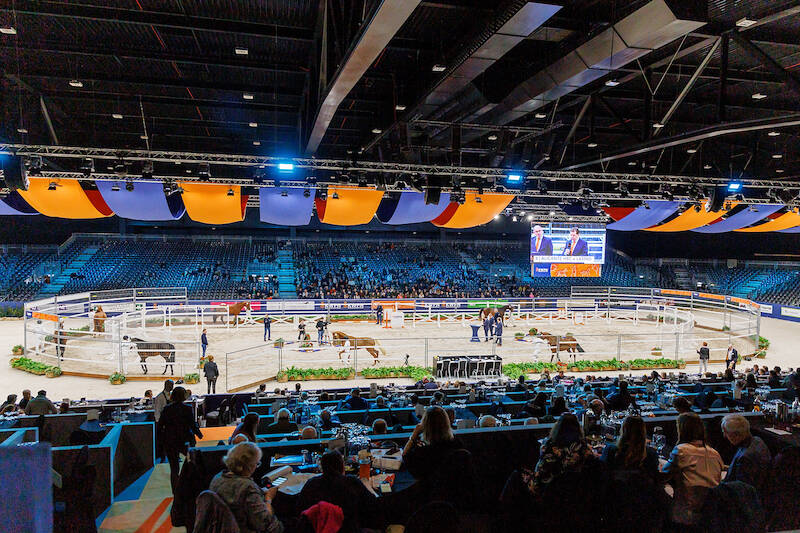 Beleef de spectaculaire springdag tijdens de KWPN Stallion Show