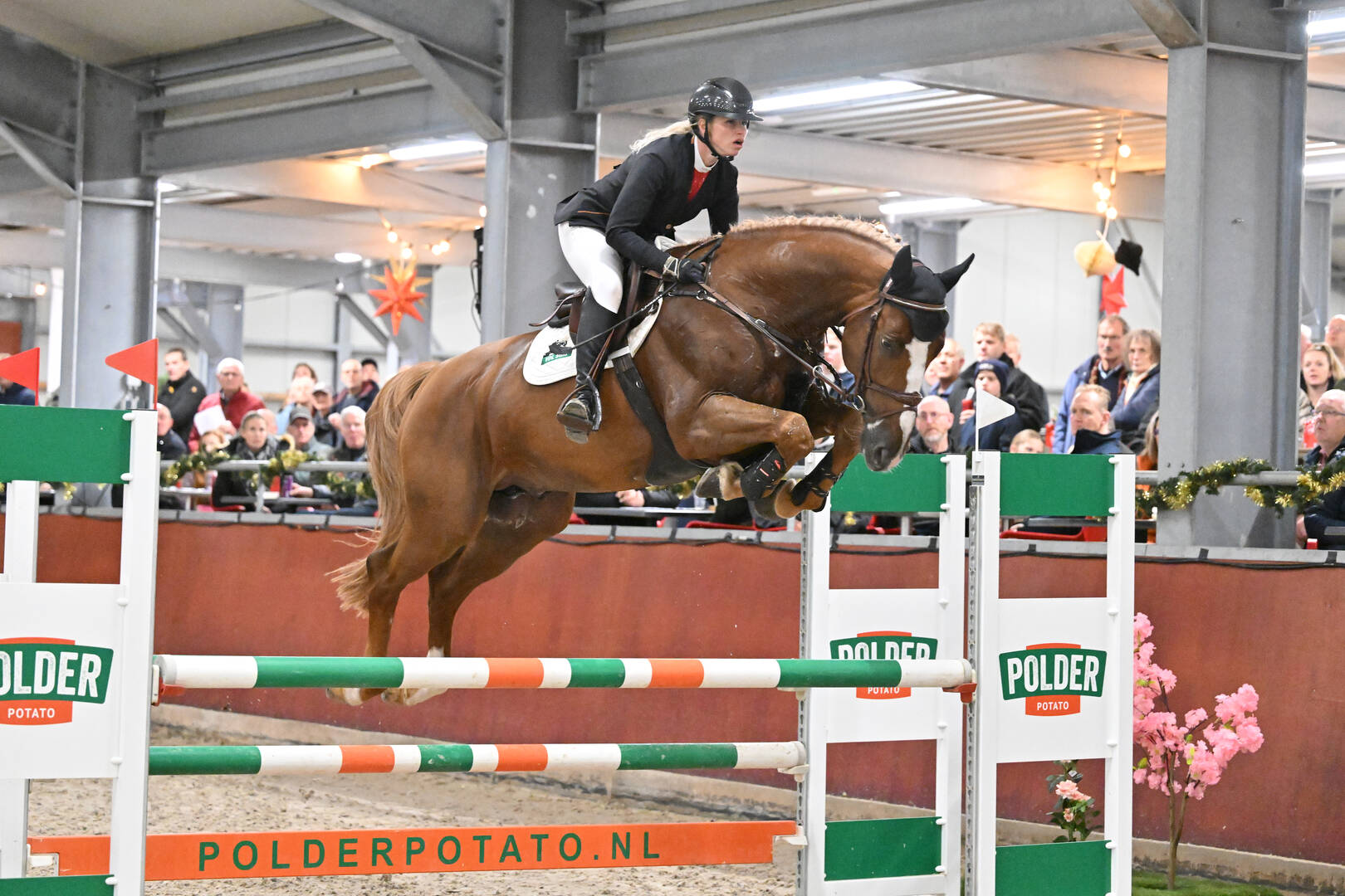 SC IJsselmuiden: Eight Stallions Jump Double Clear in the L Class