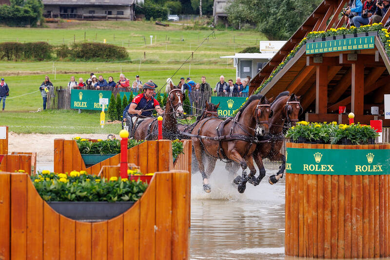 Chester Weber: "This Four-in-Hand Has the Potential to Break World Records"