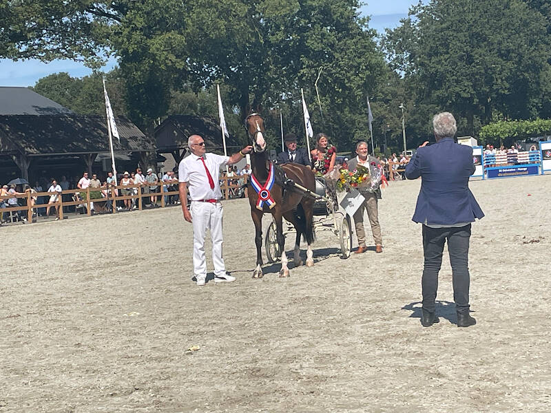 Lindrini Tuigpaard van het Jaar
