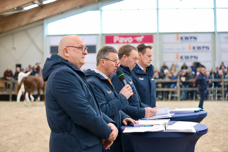 Twaalf tuigpaardhengsten door naar KWPN Stallion Show
