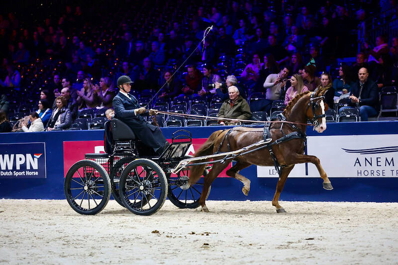 Odeer en Odin vooraan opgesteld in hengstencompetitie