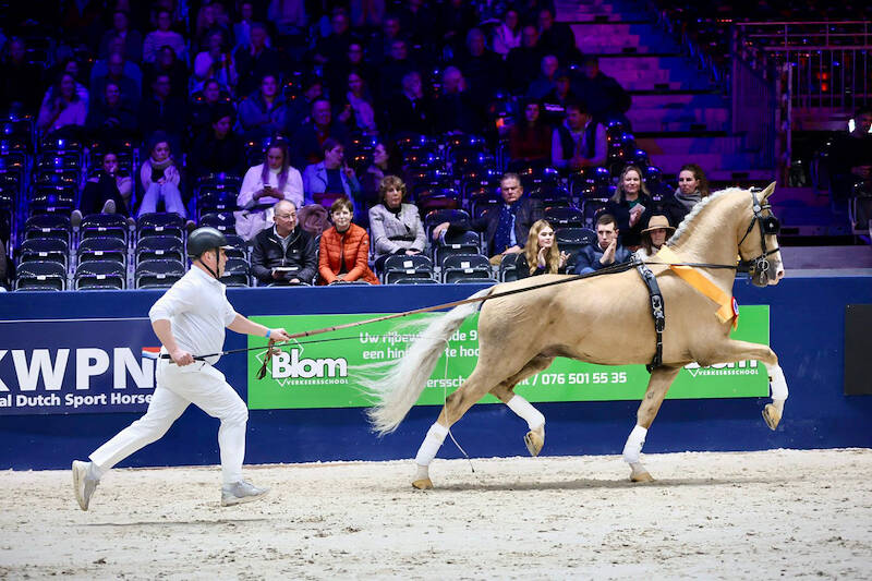 Edmundo verdiend keur verklaard