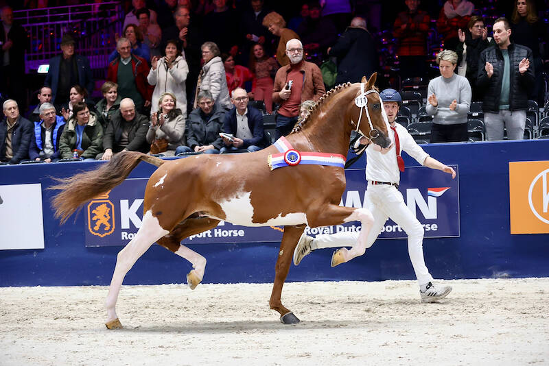 Samba danst met veel souplesse naar de titel