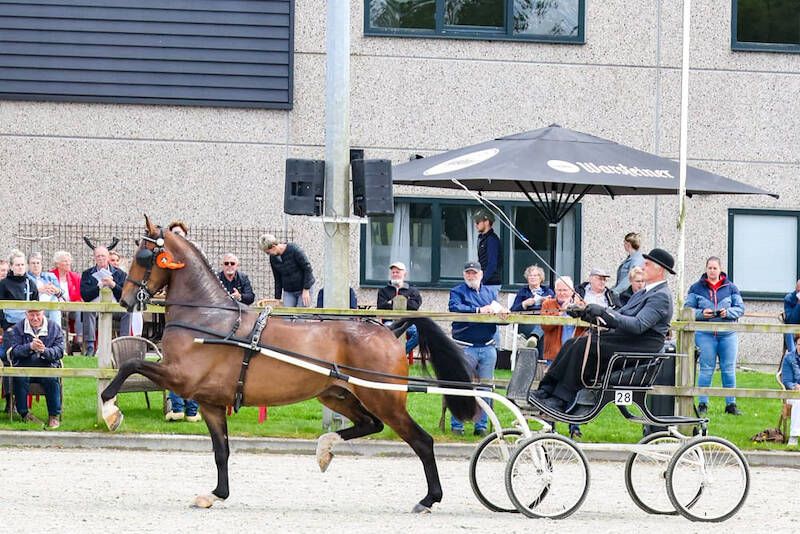 Lanto HBC-zoon Rico B beste nieuweling in Exloo