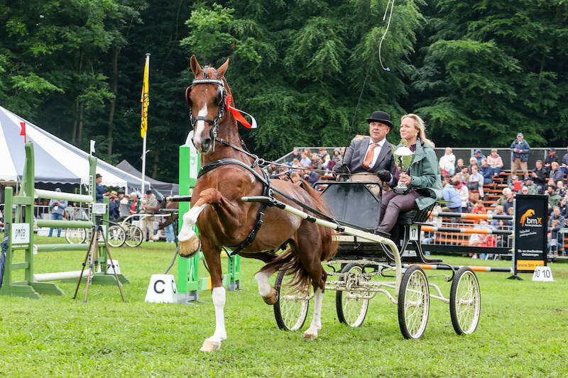 Hubert-zoon Palladium wint nieuwelingenklasse in Bennekom