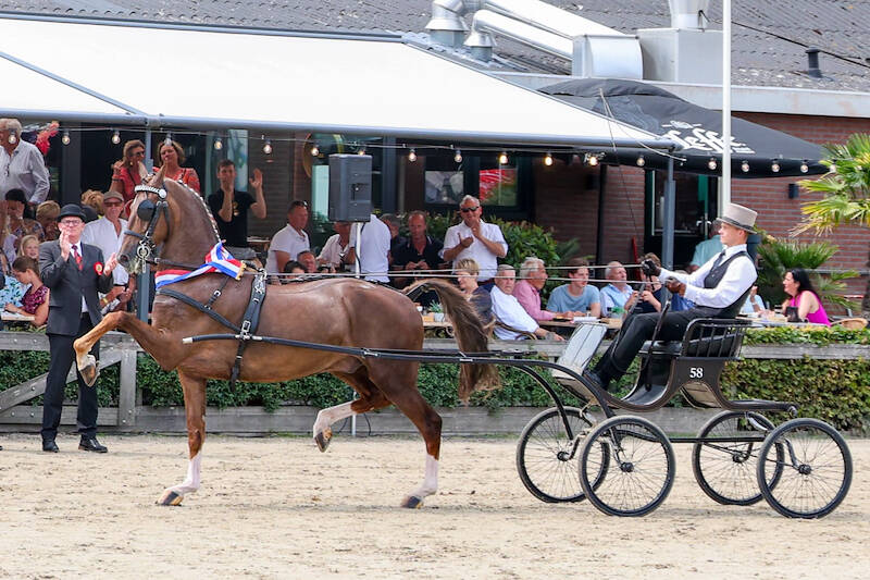 Davy Jordans en King kampioen Young Riders