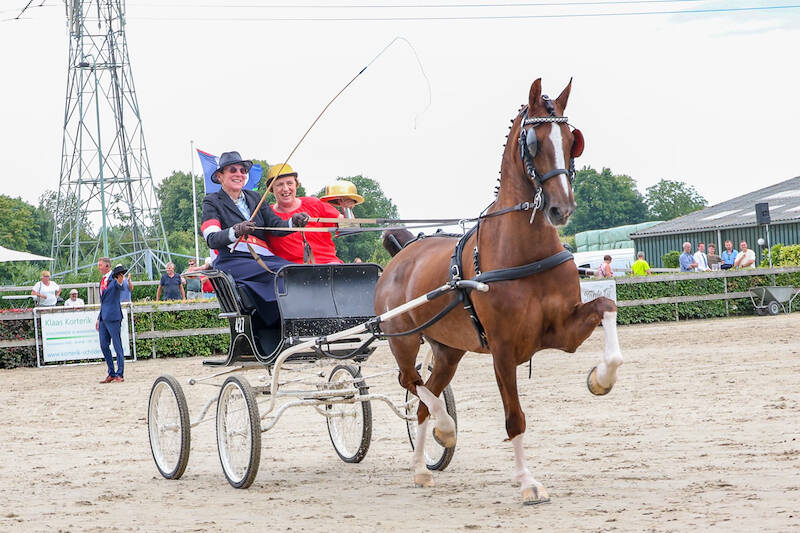 Grietje Naber wint Gouden Bolhoed