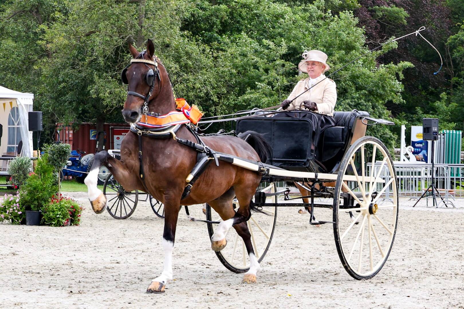 Renvyle Imondro en Anneke Borkent kampioen eenspannen gereden door dames