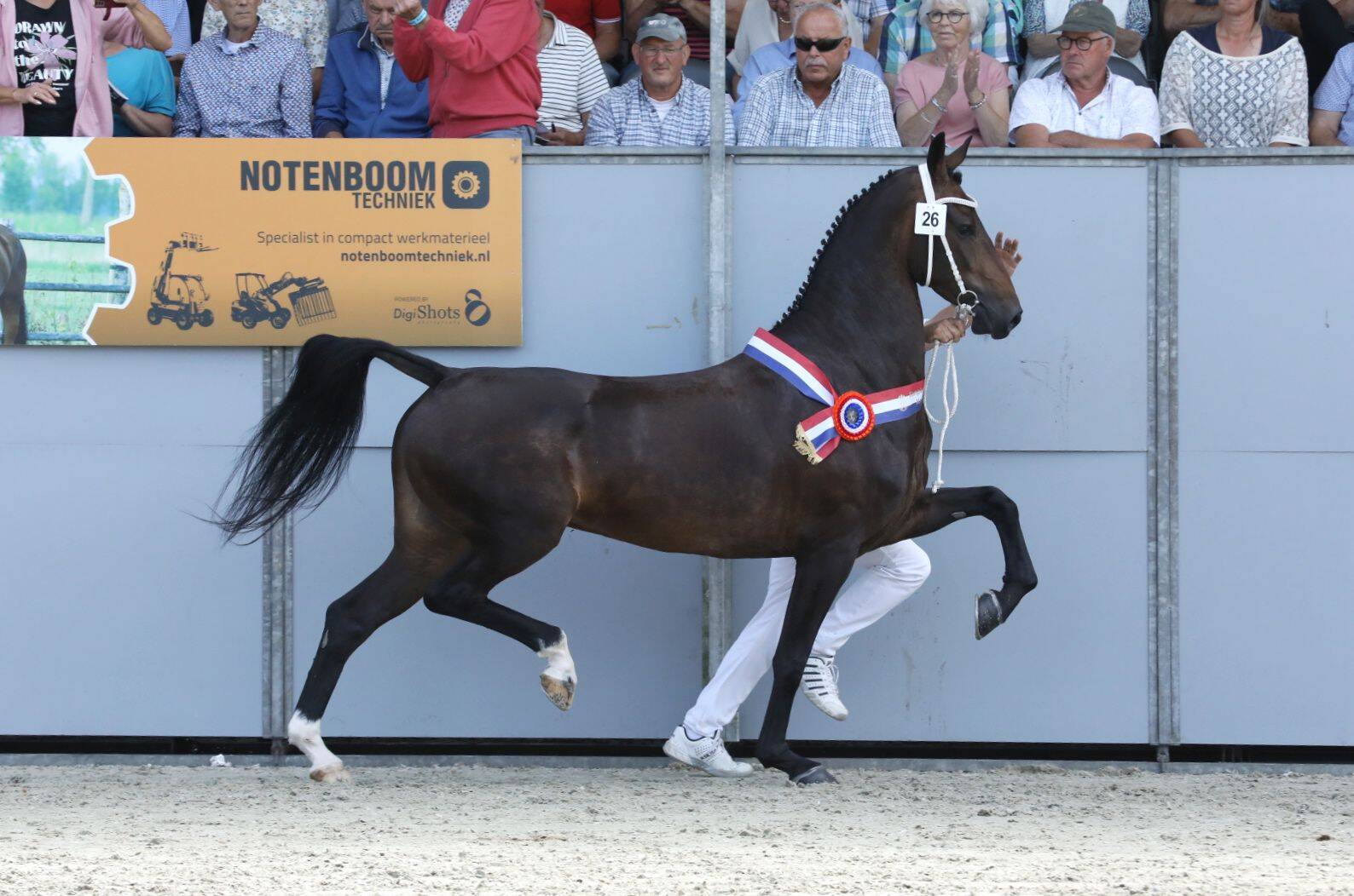 Radora stoot Nalanita van de troon