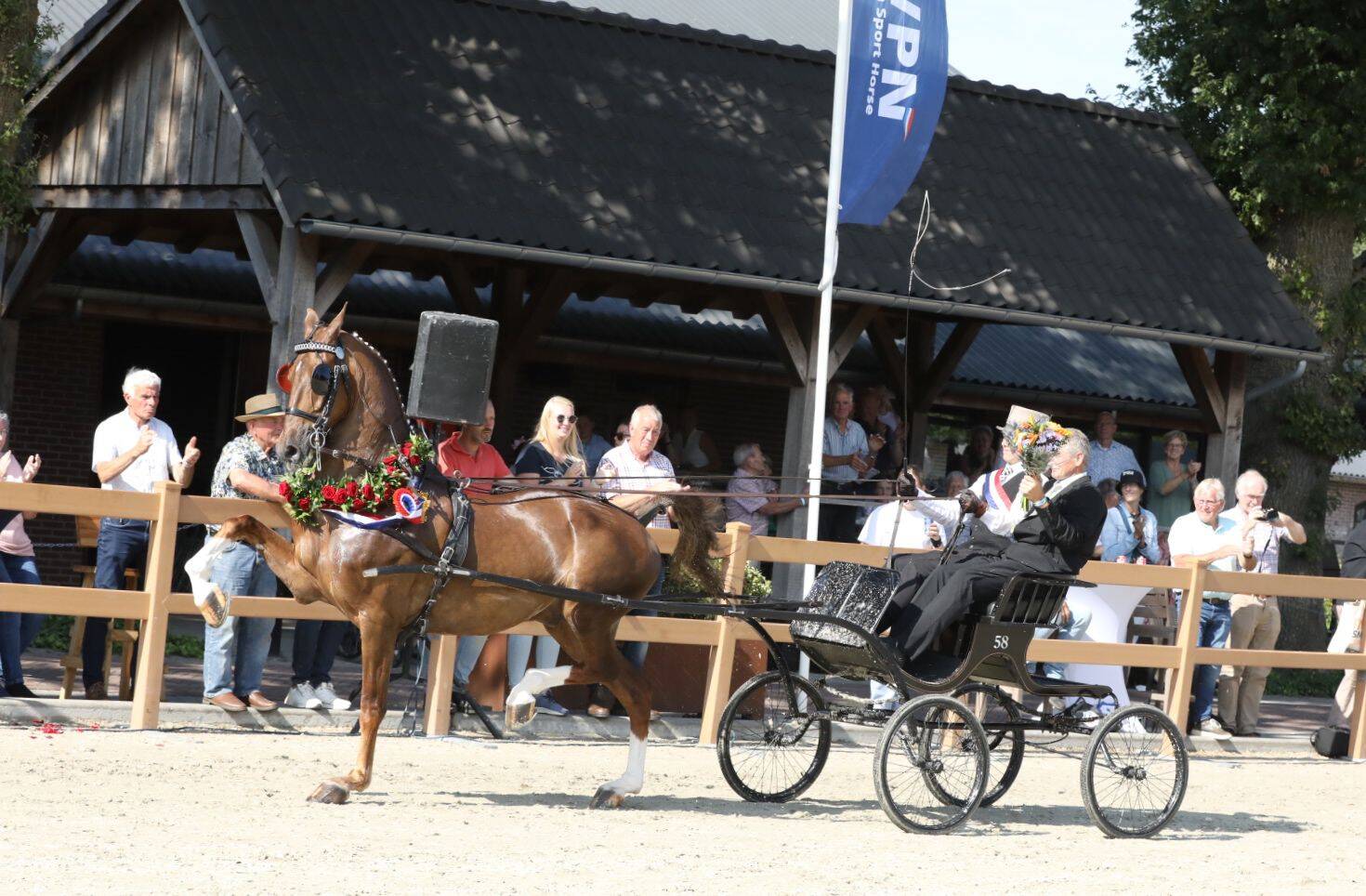 King uitgeroepen tot Tuigpaard van het Jaar 2025