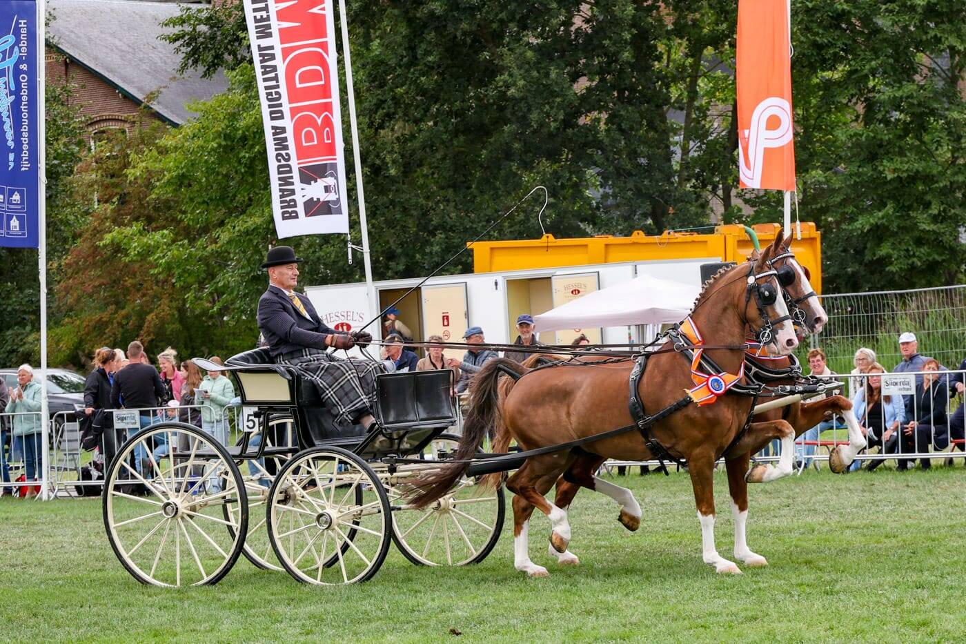 Ule Haarsma tweespankampioen met Landheer en Renville International