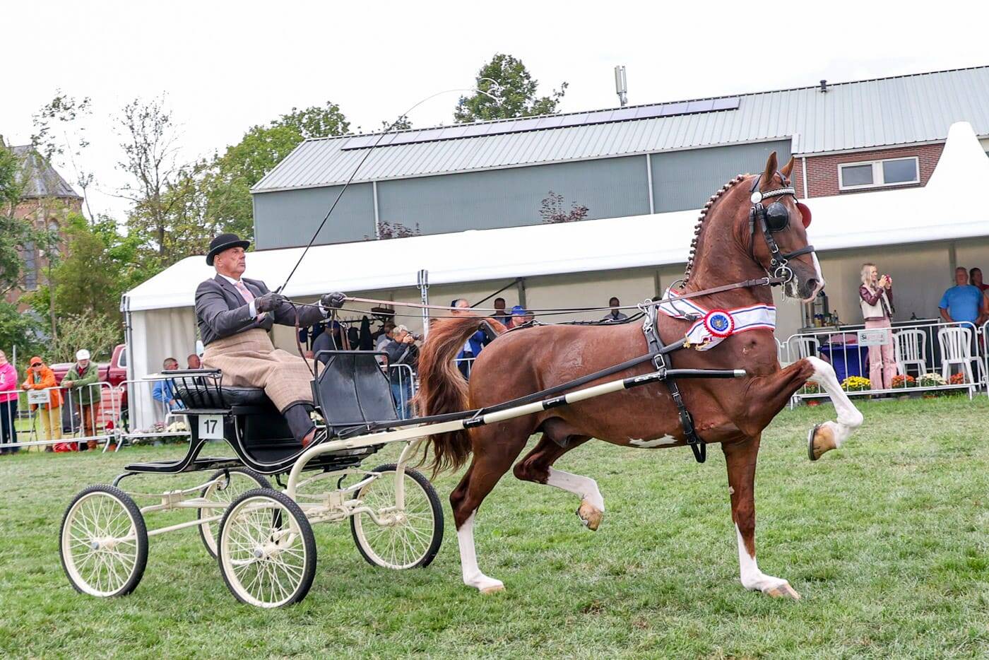Aangewezen Palladium winnaar nationale competitie enkelspannen