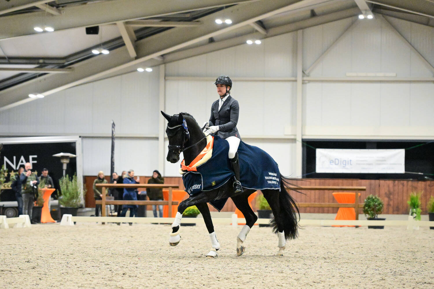 Succesvolle editie van KWPN Young Dressage Talents bij De Wolfshoeve