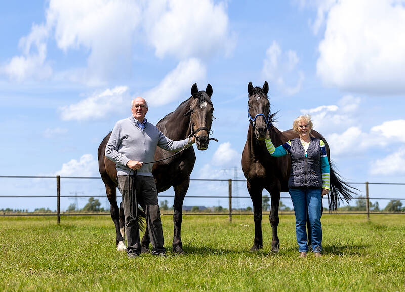 The breeding program of the Huisman family: Ambition as the foundation for success