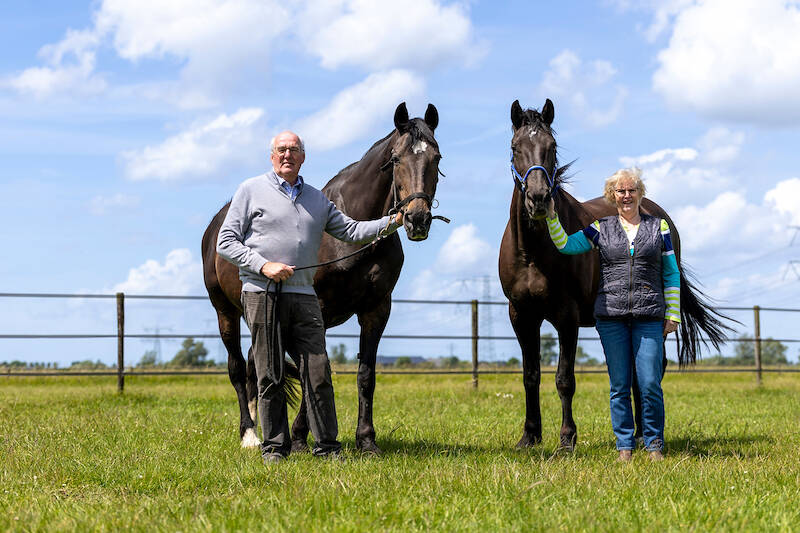 KWPN Magazine | Familie Huisman: Ambities als basis voor succes