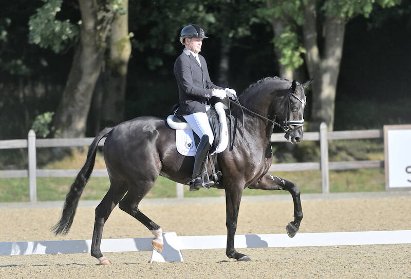 Elegante Oberon naar de winst in Pavo Cup Deurne