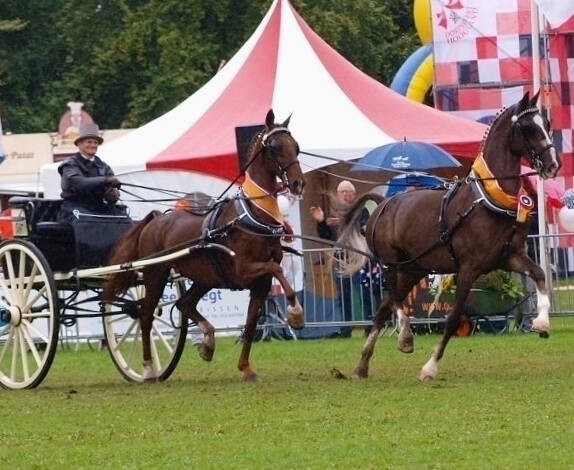 Finale Rondje Drenthe om het Bronzen Bartje mooi intermezzo op NTD