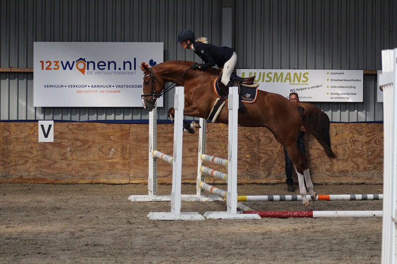 NMK-ticket en 83,5 voor Sien Amelusiena LK op IBOP Sonnega