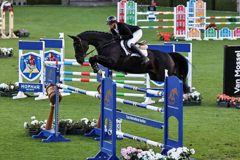 Silver for KWPN in the eight-year-olds class at WBFSH Studbooks JGC Trophy