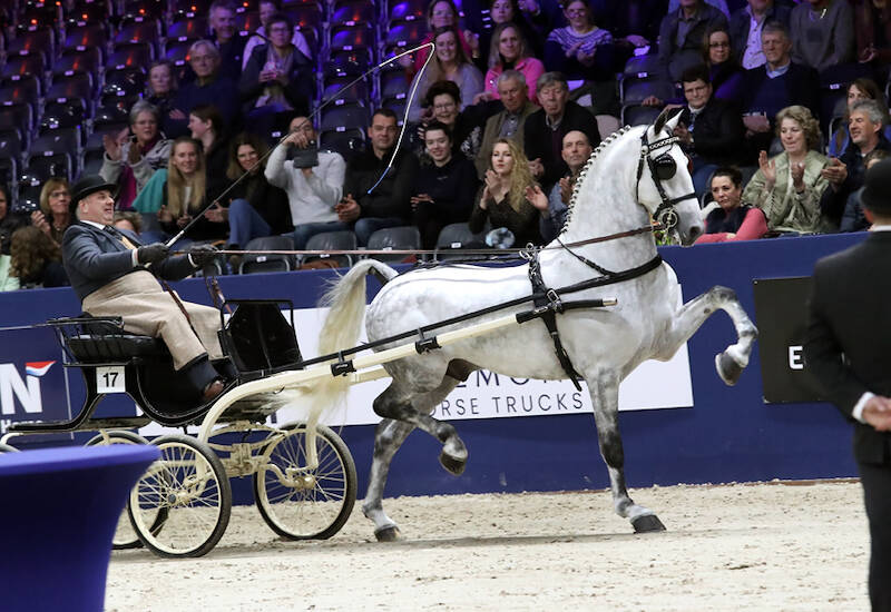 Startlijst Oregon Trofee bekend voor KWPN Stallion Show