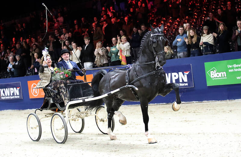 Oregon Trophy thrilling climax to the harness horse evening