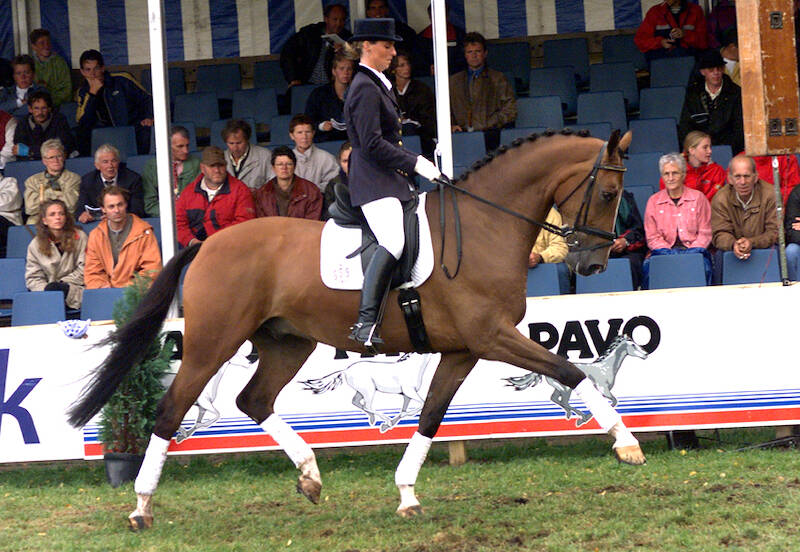 Pavo Cup-parels: Anne Franssen