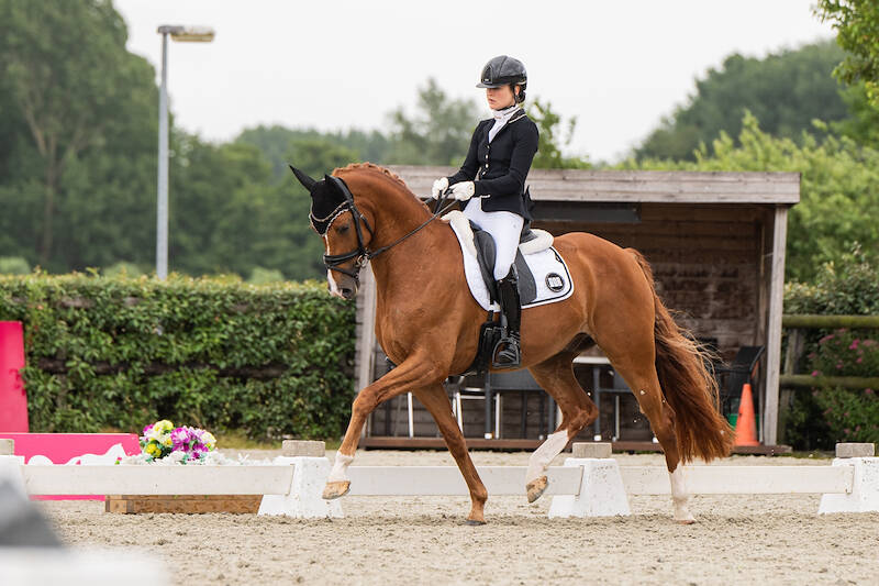 Le Gentil overtuigend aan kop in Pavo Cup Oudkarspel