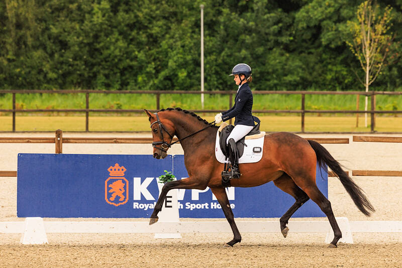 McMary voert sterke groep vierjarigen aan in Pavo Cup Dronten