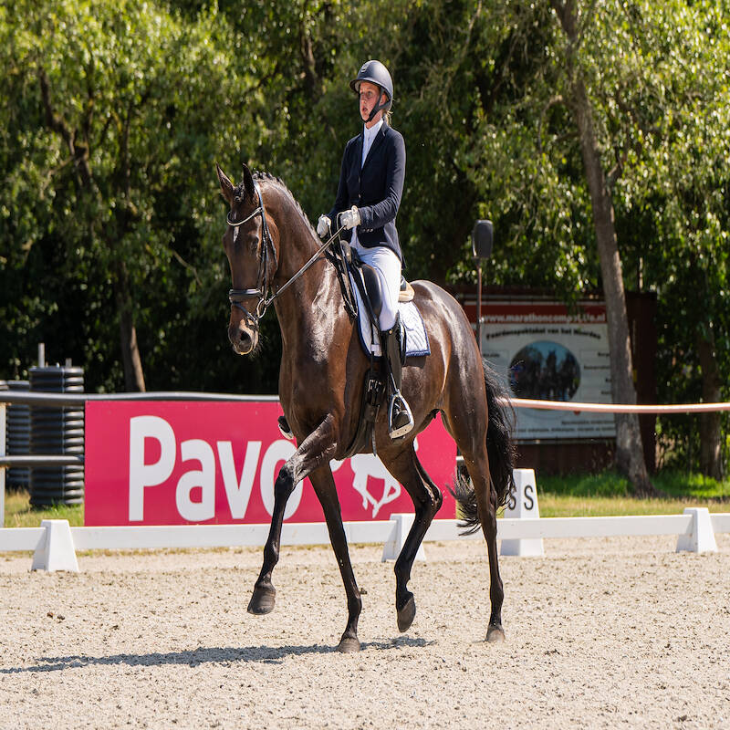 Rommie Stegeman wint Pavo Perfect Pair Prize