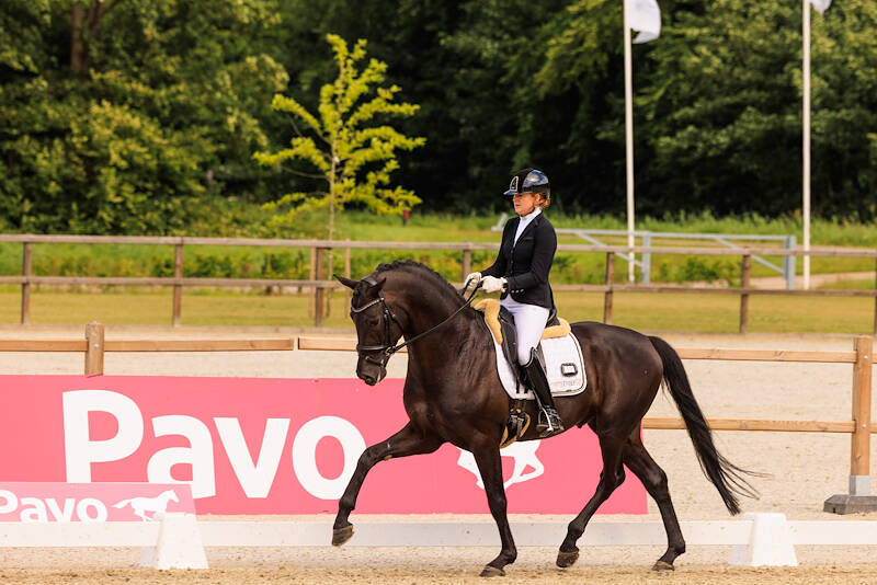 Imponerende Secret Star aan kop in Pavo Cup Dronten