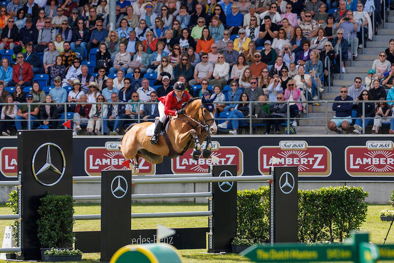 Paris Olympics: McLain Ward: "A great career awaits Ilex"