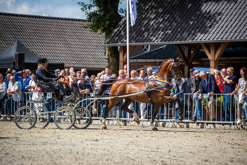 Programma Nationale Tuigpaardendag bekend