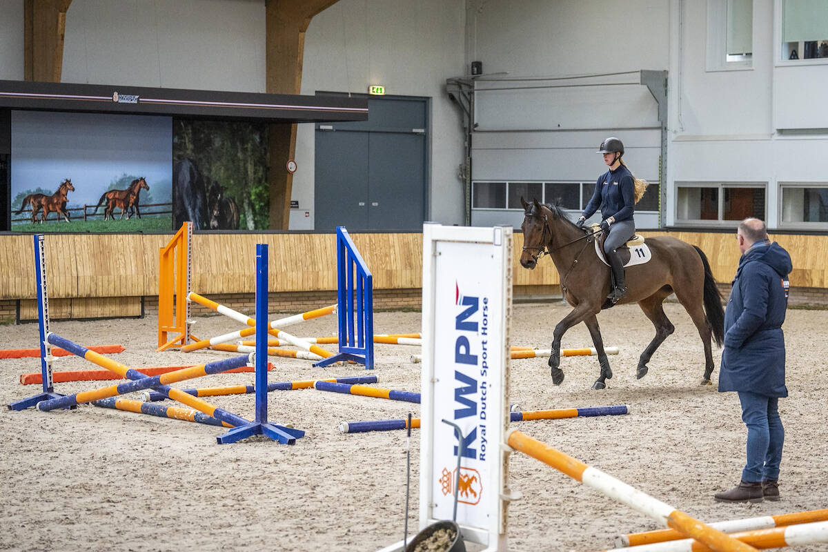 Zestien springpaarden en acht dressuurpaarden richting EPTM-examen