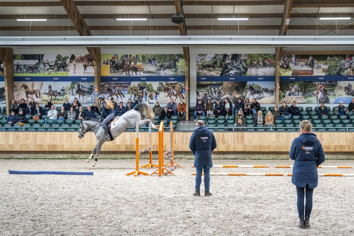 IBOP Sonnega: 81,5 punten voor Harley VDL-dochter