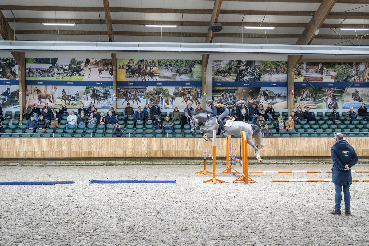 Balou du Reventon-dochter Revolution W springt naar 83 punten op IBOP