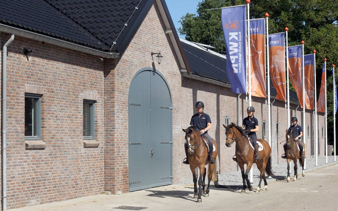 Your three-year-old mare on her way to an elite predicate in five or seven weeks?