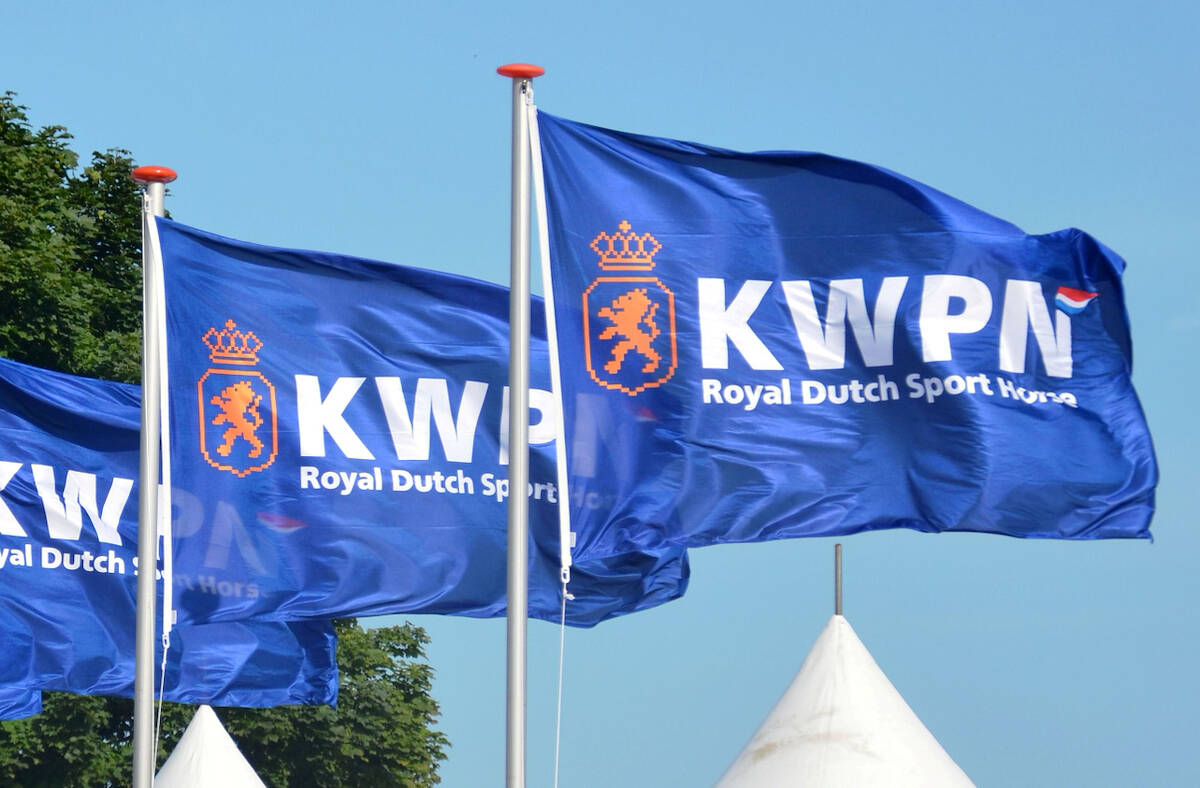 Jaarrekening en jaarverslag 2024 goedgekeurd