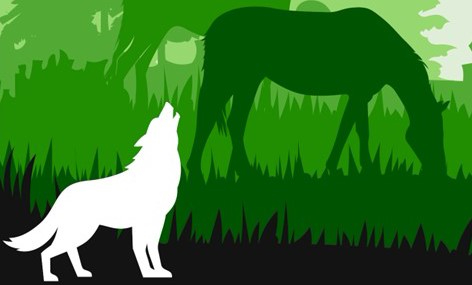 Verlaging van de beschermingsstatus van de wolf: wat betekent dit?