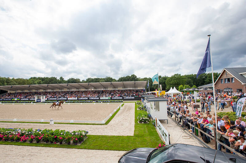 No Nonsense D replaces New Orleans in the World Championship team for six-year-olds