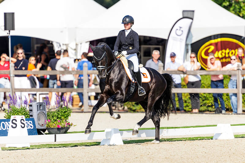 WK Jonge Dressuurpaarden: Majestic Taonga maakt zich op voor finale